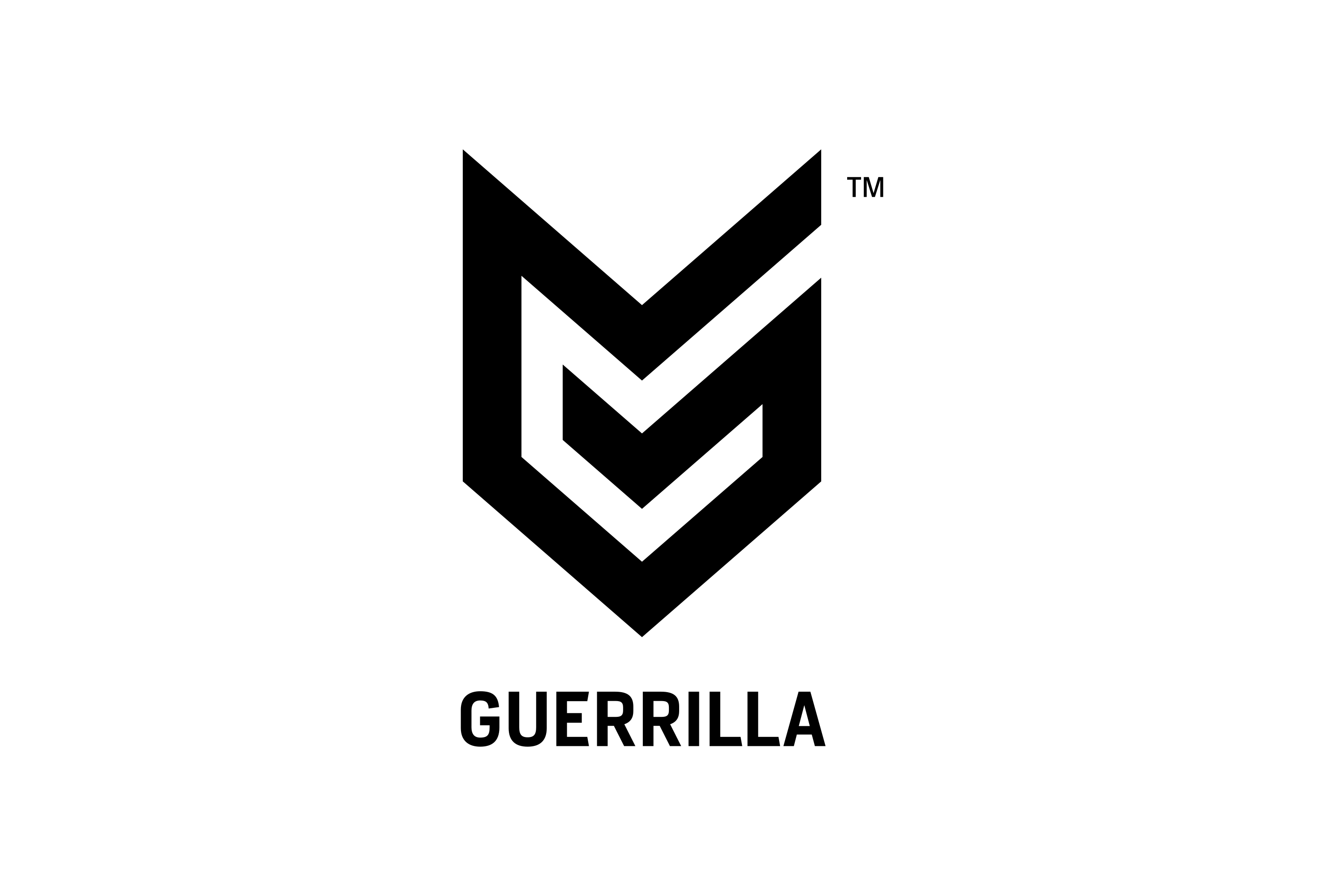 Link to Guerrilla Game's website